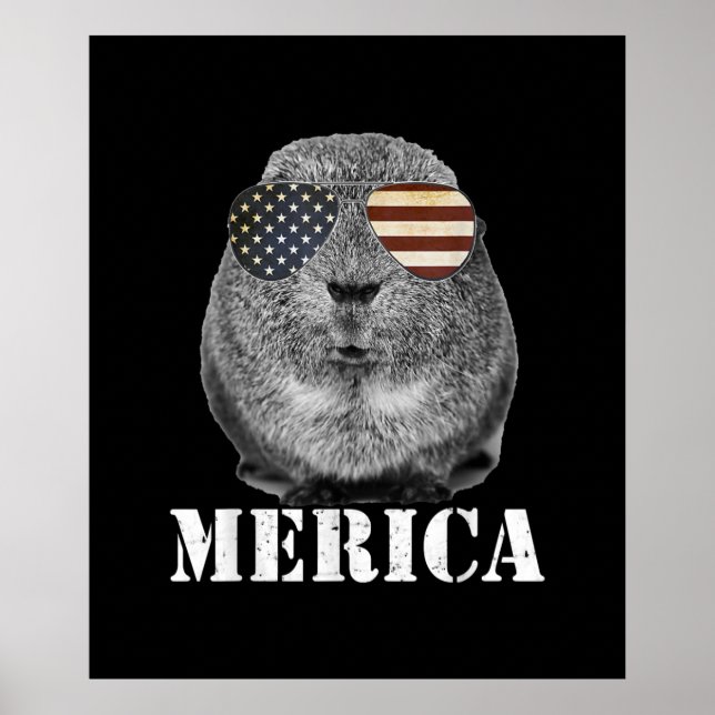 Glasögon av arterna Gris Merica Patriotic USA flag Poster (Framsidan)