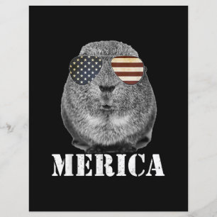 Glasögon från Funny Guinea Gris Merica Patriotic U