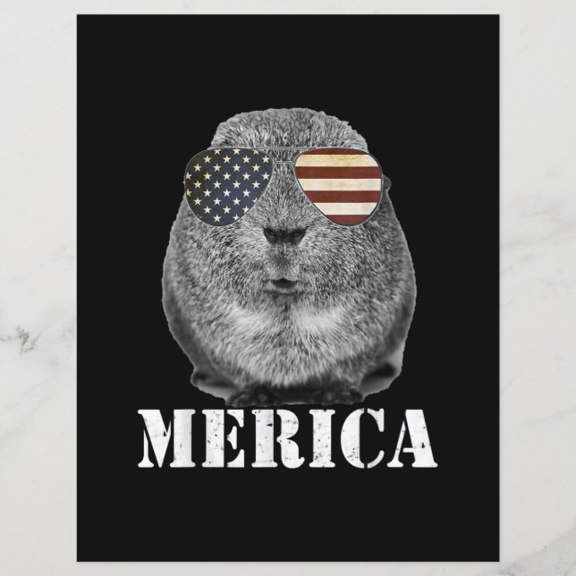 Glasögon från Funny Guinea Gris Merica Patriotic U (Framsida)
