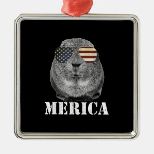Glasögon från Funny Guinea Gris Merica Patriotic U Julgransprydnad Metall