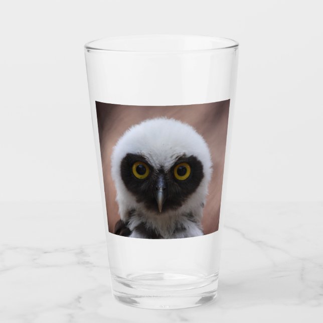Glasögonuggla Glaskopp (Framsida)