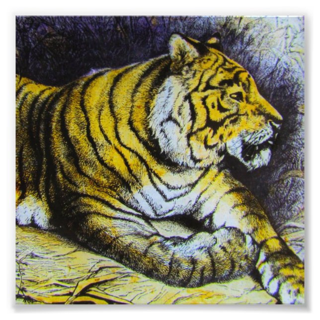 Glasruta A TIGER 1900 BIG CAT Fototryck (Framsidan)