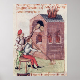 Glass blåsare, från 'Tractatus de Herbis' Poster