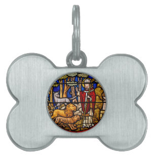 Glass St. Francis Pet Protector ID-bricka Husdjur