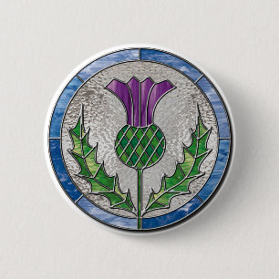 Glass Thistle Knapp
