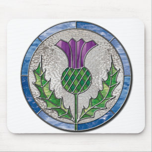 Glass Thistle Musmatta
