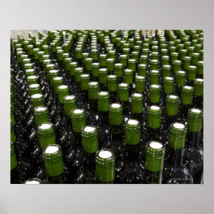 Glass vinflaskor i ett vin som buteljerar fabriken poster