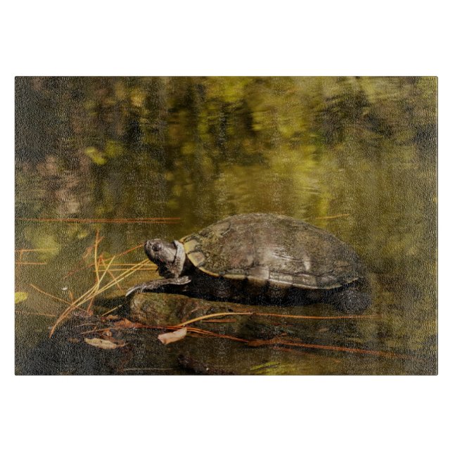 Glasskärning - Turtle on Log in Pond (Framsidan)
