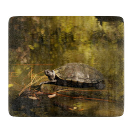 Glasskärning - Turtle on Log in Pond