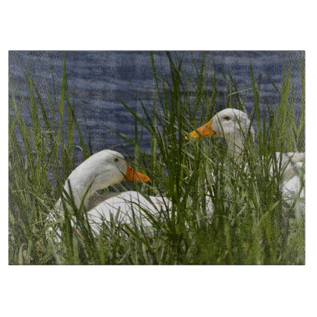 Glasskärningspåläggning i anka (Framsidan)