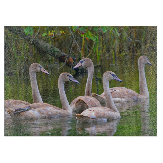 Glasskärningspåläggning i svan (Framsidan)