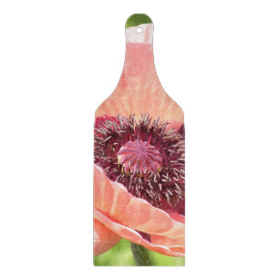GLASSKICKNING BD./"PEACH-FÄRGAD POPPY"/FOTOG.
