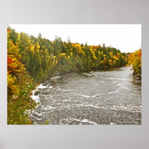 glassutskrift/TAHQUAMENON RIVER/GULD OCH GREE Poster