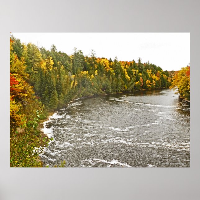 glassutskrift/TAHQUAMENON RIVER/GULD OCH GREE Poster (Framsidan)