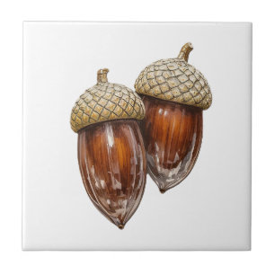 Glassy Acorns Kakelplatta