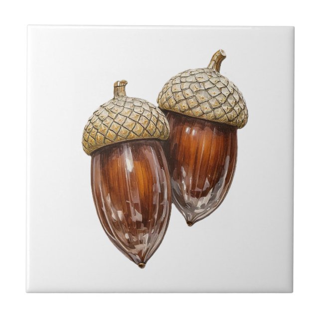 Glassy Acorns Kakelplatta (Framsidan)