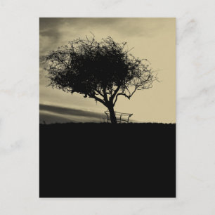 Glastonbury Hawthorn. Träd på Backe. Sepia Färg. Vykort