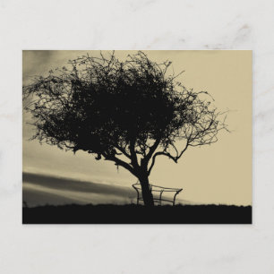 Glastonbury Hawthorn. Träd på Backe. Sepia Färg. Vykort