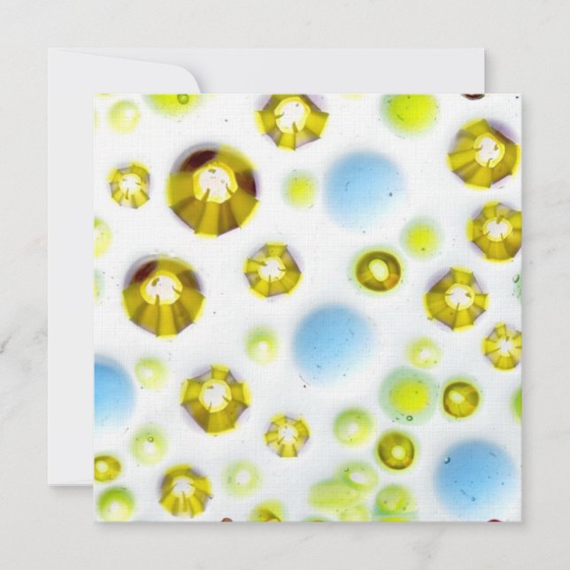 Glasträdgård nr 3 (Framsida)