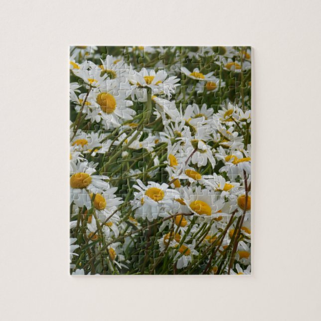Glatt blomsteräng - Glad mun glädjedaisy Pussel (Vertikal)