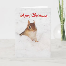 Glatt Christnas lite snöig jordekorrekort Helgkort