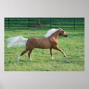 Glatt frihet poster