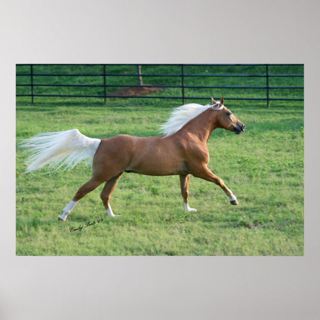 Glatt frihet poster (Framsidan)