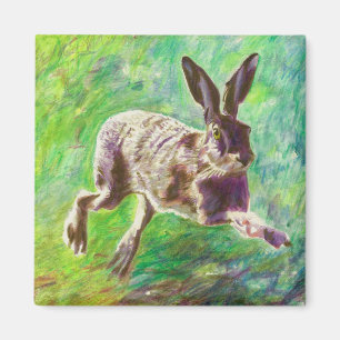 Glatt hare 2011 magnet