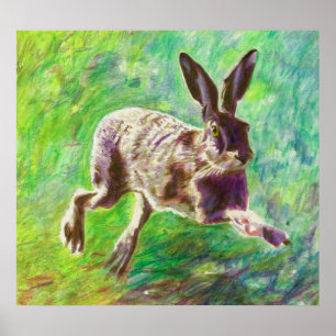 Glatt hare 2011 poster