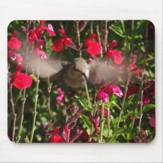 Glatt Hummingbird Mousepad Musmatta