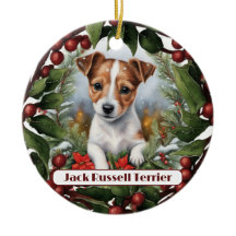 Glatt Jack Russel, anpassa jul