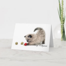 Glatt Kittymas kort