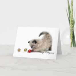 Glatt Kittymas kort