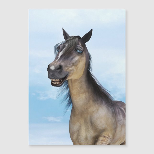 Glatt Leende Grulla Häst (Framsida)