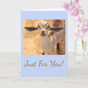 Glatt Little Goat Birthday Kort