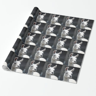 Glatt Llamapapper Presentpapper