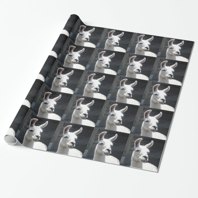 Glatt Llamapapper Presentpapper (Utrullad)