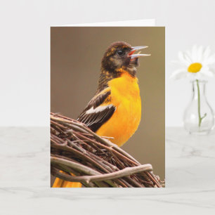 Glatt Oriole Birthday Kort