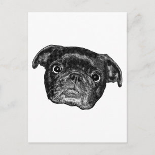 Glatt Pug Punkt Post Vykort