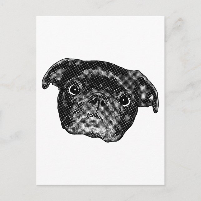 Glatt Pug Punkt Post Vykort (Framsida)