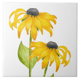 Glatt sommar på en keramisk platta kakelplatta