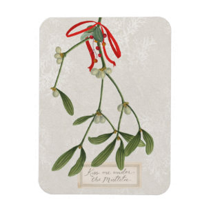 Glatt Tidings kysser mig under mistletoen Magnet