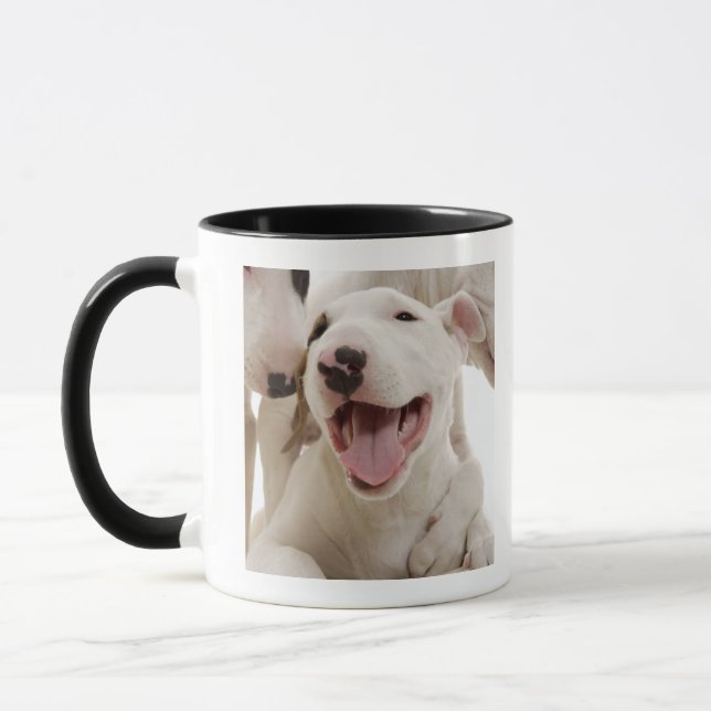 Glatt tjurterriers mugg (Vänster)