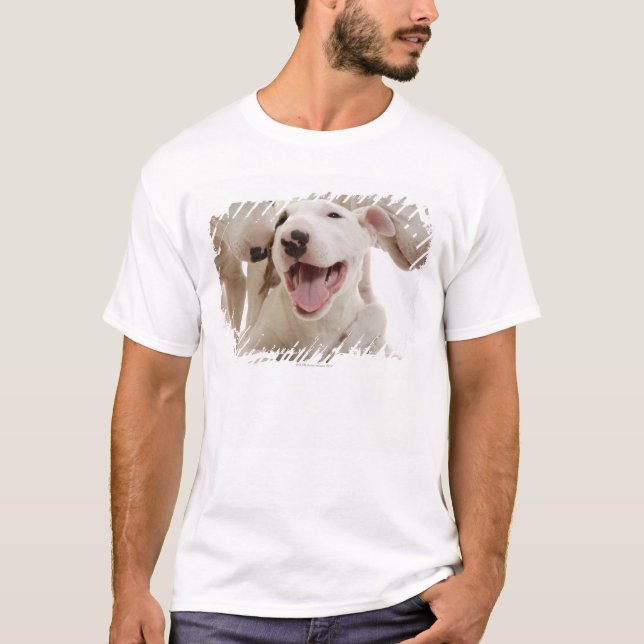 Glatt tjurterriers tee shirt (Framsida)