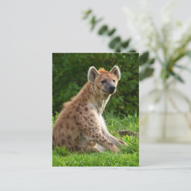 Glatta Hyena Amidst Greenery Vykort (Stående Fram)