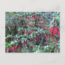 GLATTA JANUARI! VYKORT