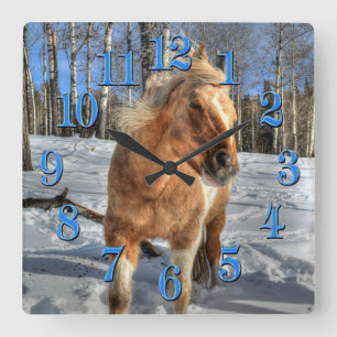 Glatta Palomino Pinto Horse och Snö Fyrkantig Klocka