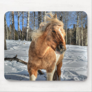 Glatta Palomino Pinto Horse och Snö Musmatta