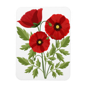Glatta sommarblommor med vallmoblommor magnet