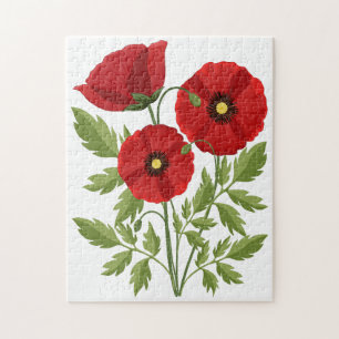 Glatta sommarblommor med vallmoblommor pussel